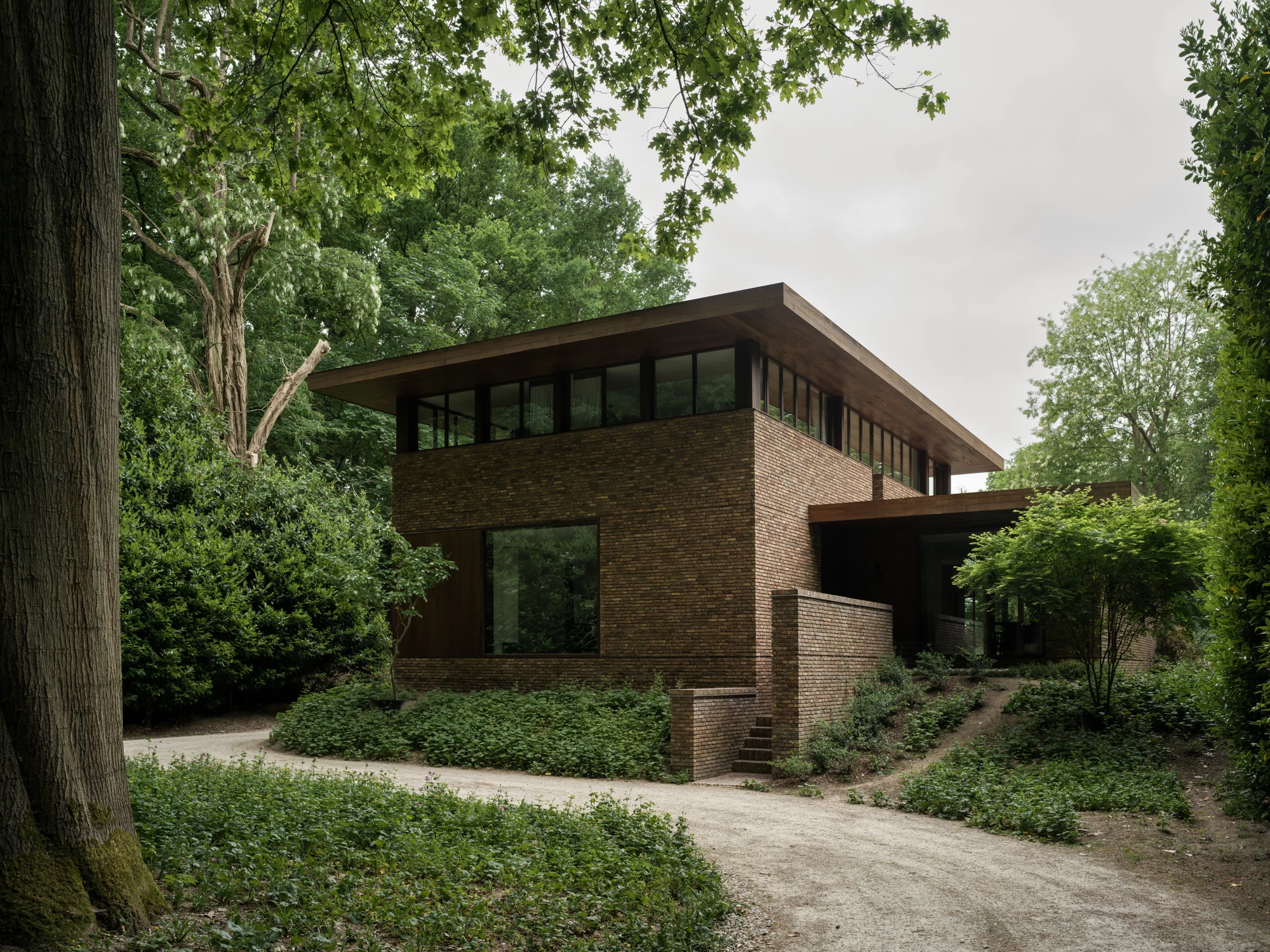 Architecture that echoes the forest
