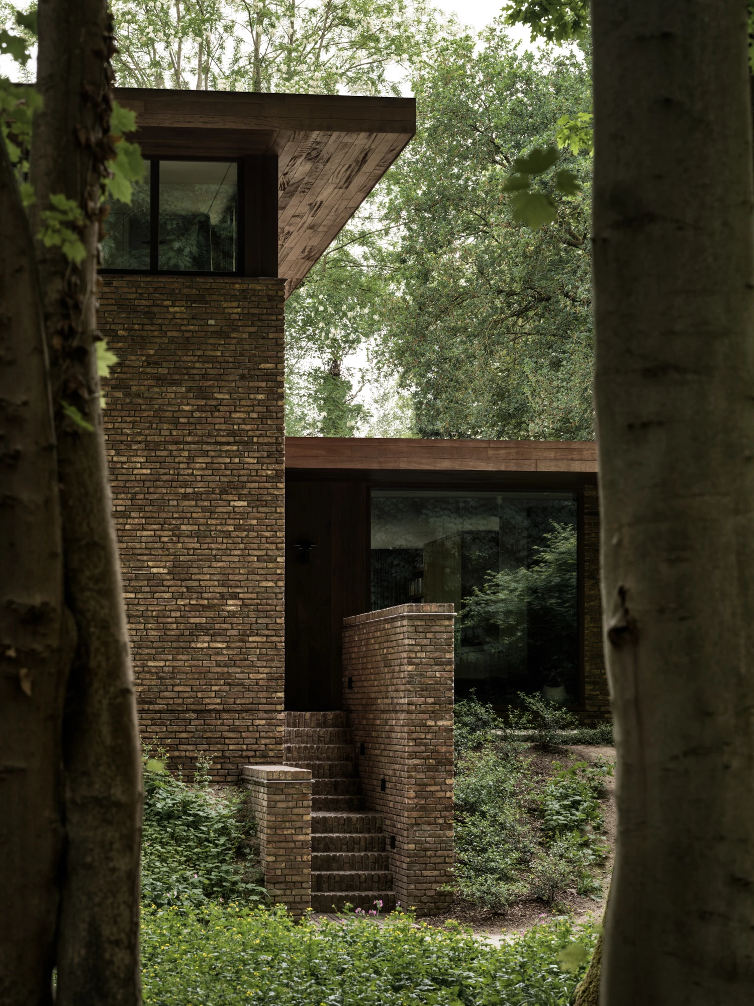 Architecture that echoes the forest