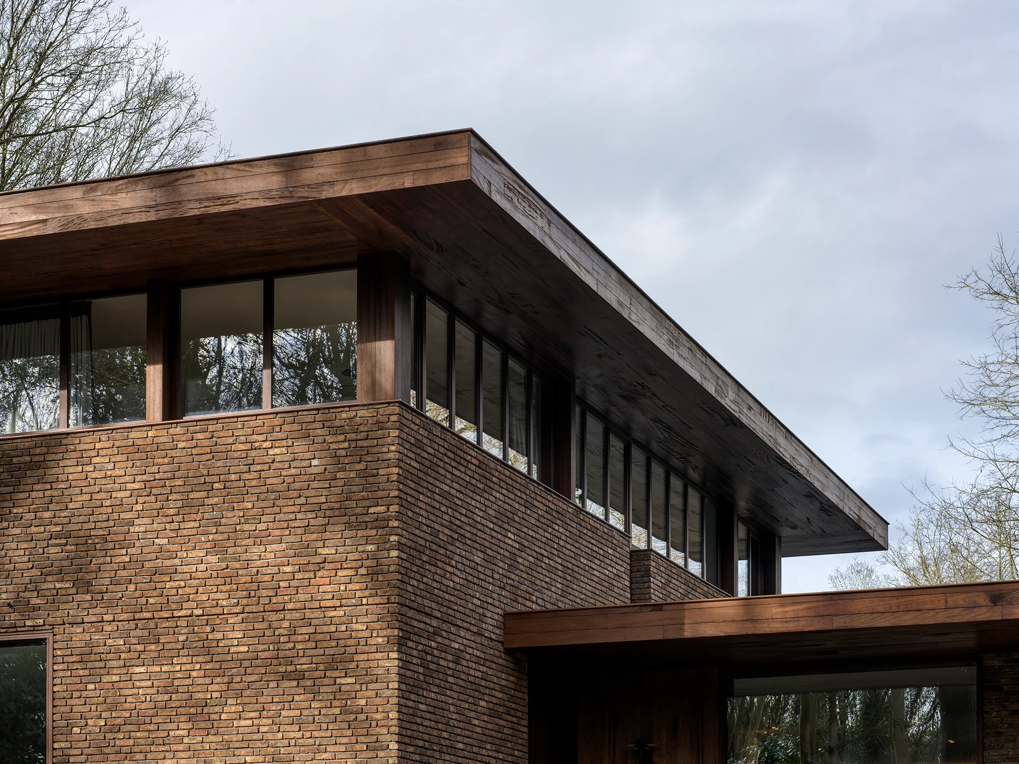 Architecture that echoes the forest