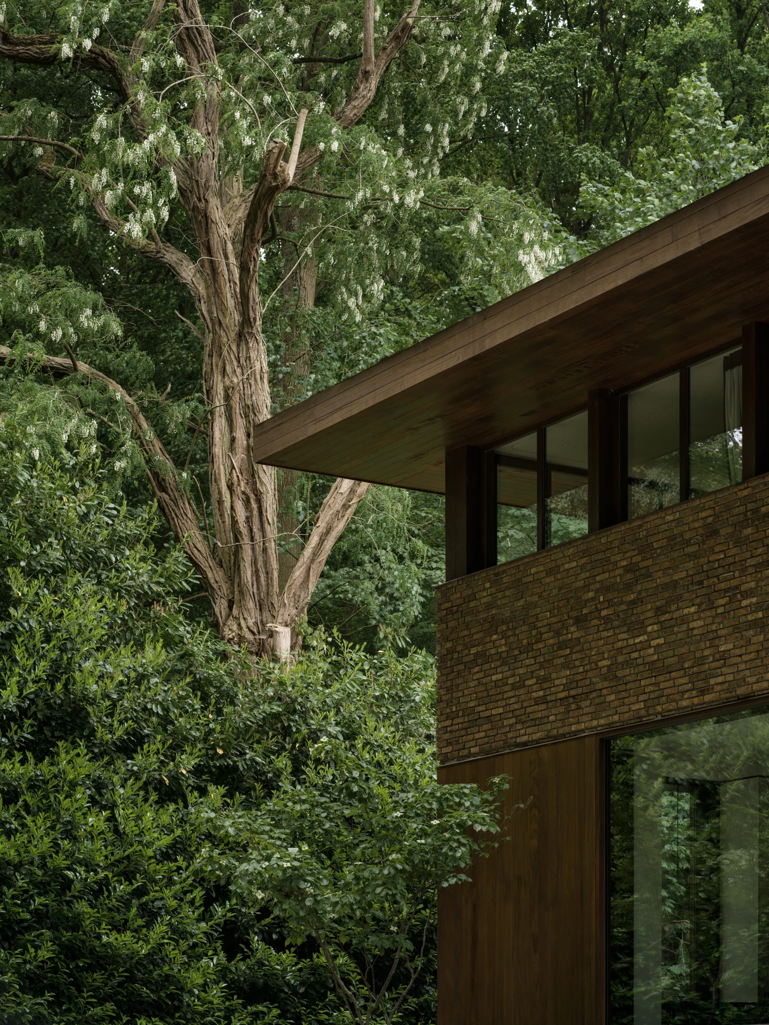 Architecture that echoes the forest