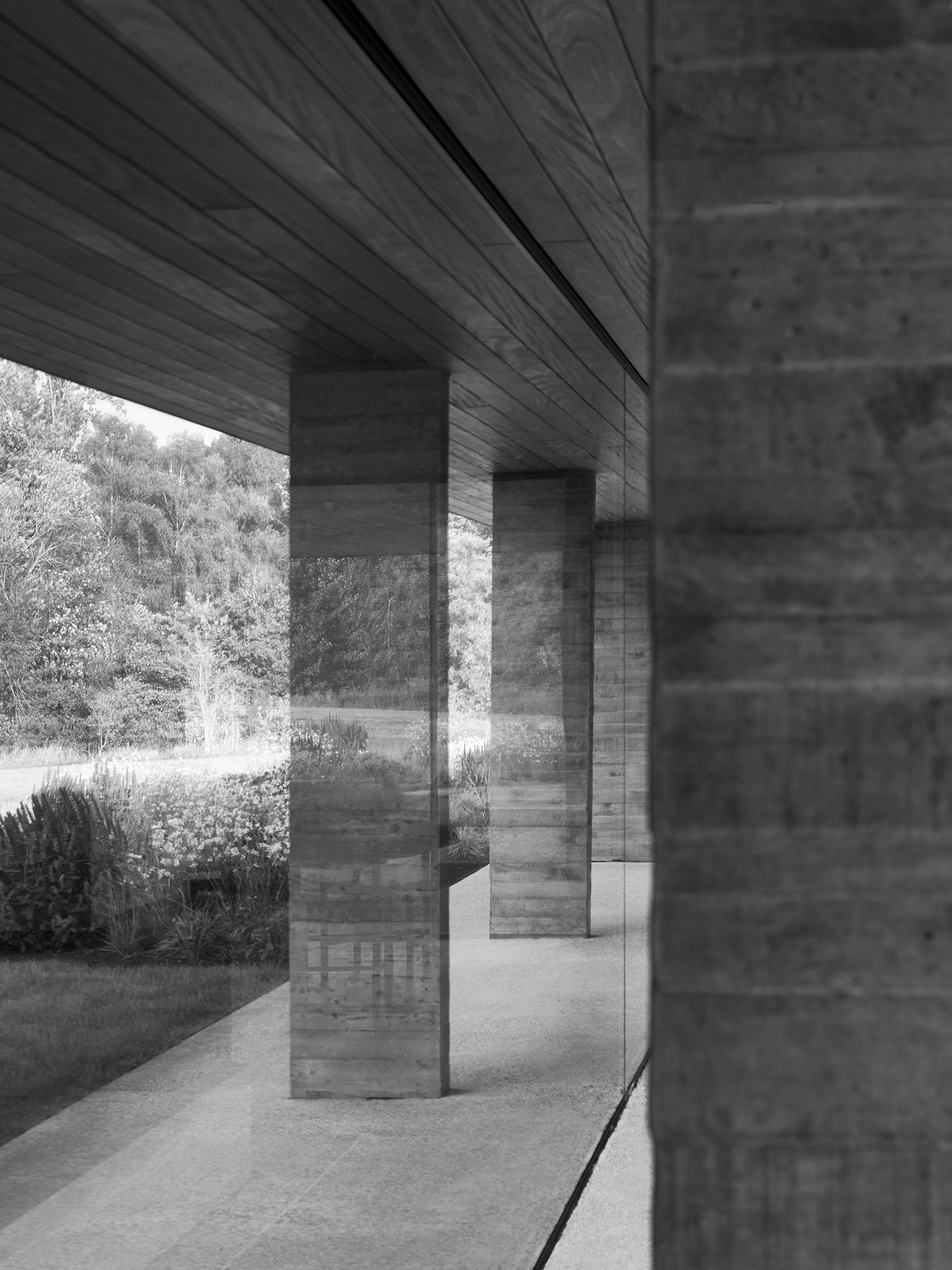 Returning a farmhouse back to the land