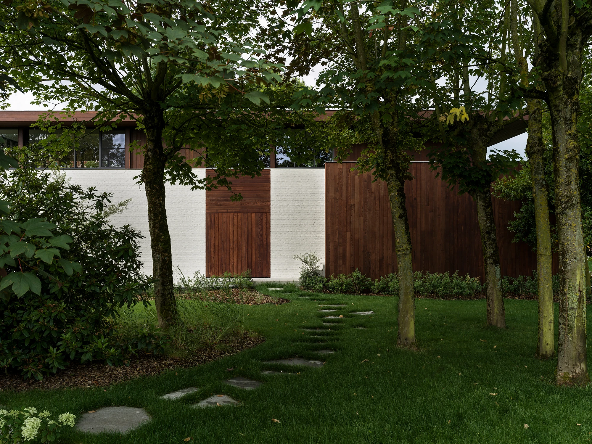 Suburban tree-house living